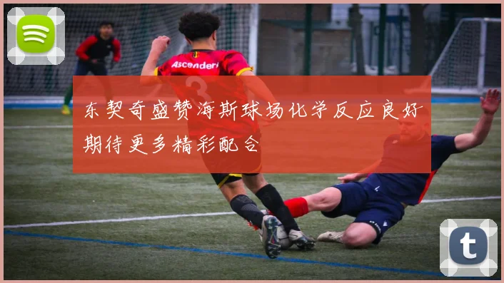 东契奇盛赞海斯球场化学反应良好期待更多精彩配合