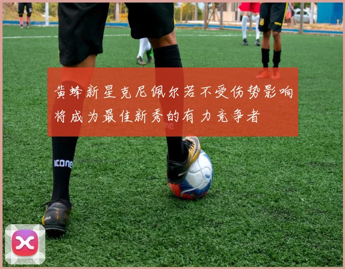 黄蜂新星克尼佩尔若不受伤势影响将成为最佳新秀的有力竞争者
